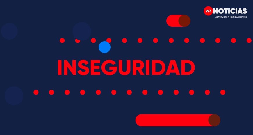 Robo en tianguis navideño de Sayula, Jalisco, afecta a comerciante local en plena temporada festiva